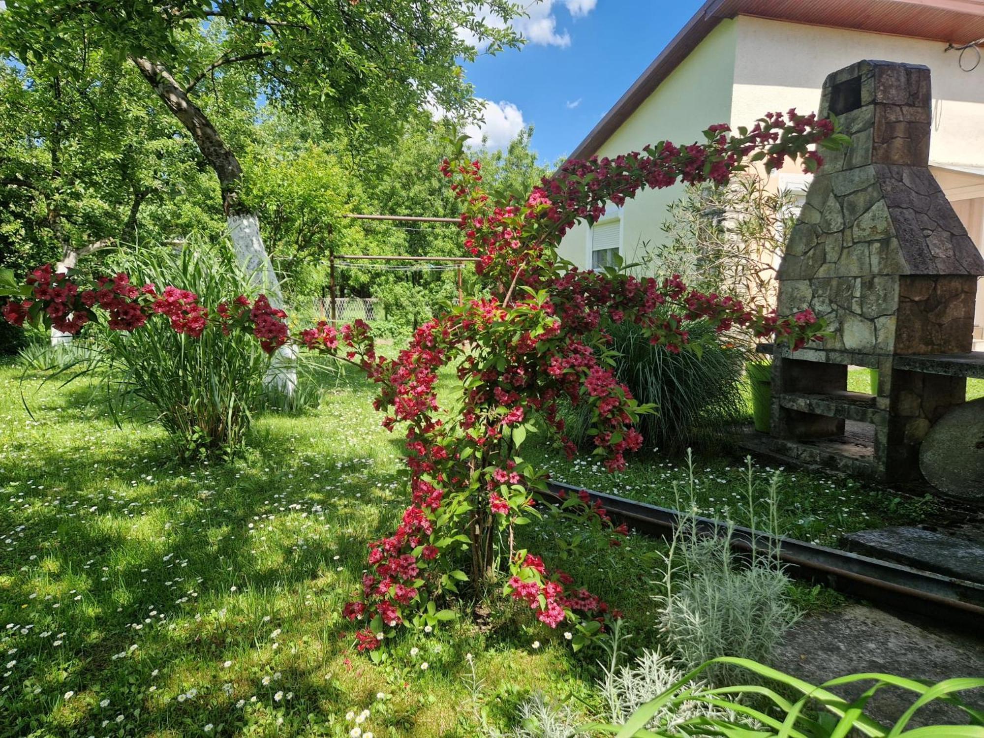 Studio Apartman Marica - Ogulin, Hrvatska Exterior foto